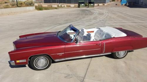 Las Vegas Exotic Car Rentals